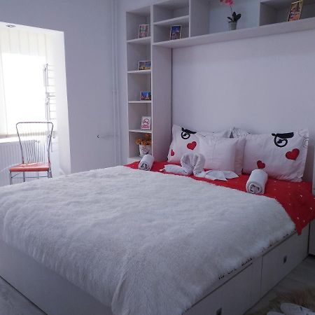 Epic Apartment Temesvár Kültér fotó