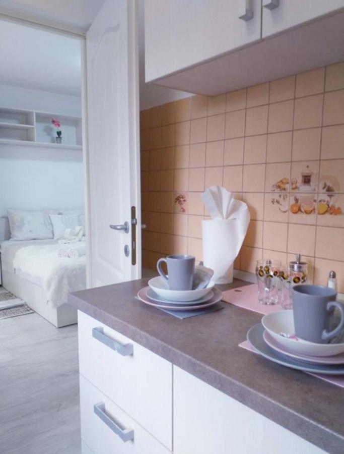 Epic Apartment Temesvár Kültér fotó